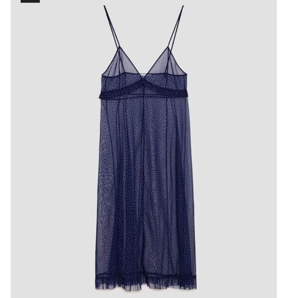ZARA Sheer Polka Dot Tulle Dress